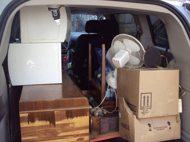Best Carpet Removal and Disposal  in Brainerd, MN